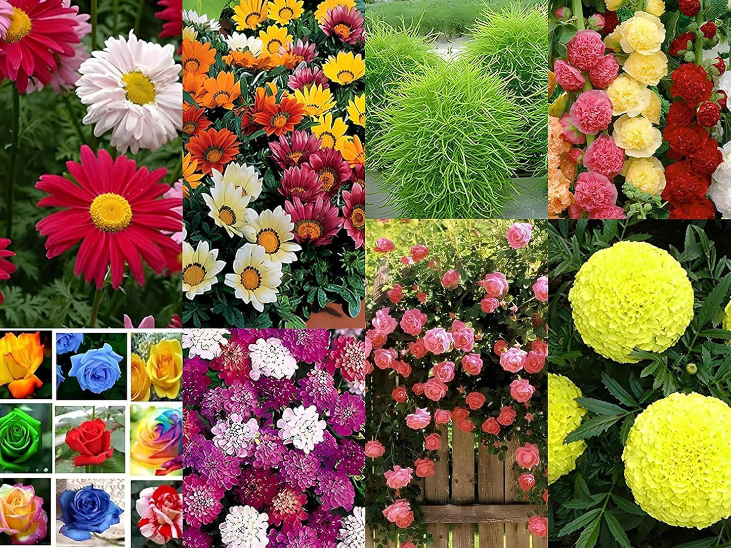 Varieties  100 Flower Seeds Variety + Free Growth Supplement!