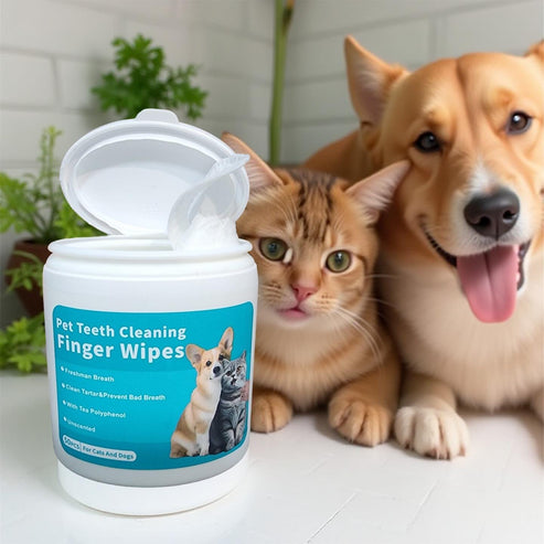 Disposable Teeth Finger Wipes For Pets - (Pack of 50 Wipes)